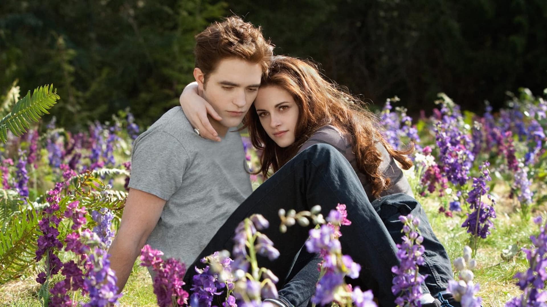 5 film tipo twilight